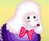 Bichon