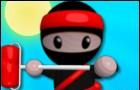 Pictorul Ninja
