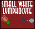 White Lymphocyte